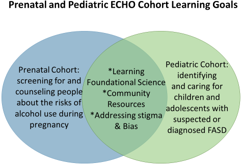 A Venn diagram of two circles comparing the pediatric and prenatal cohort