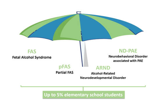 FAS, pFAS, ND-PAE, and ARND list under a blue and green umbrella